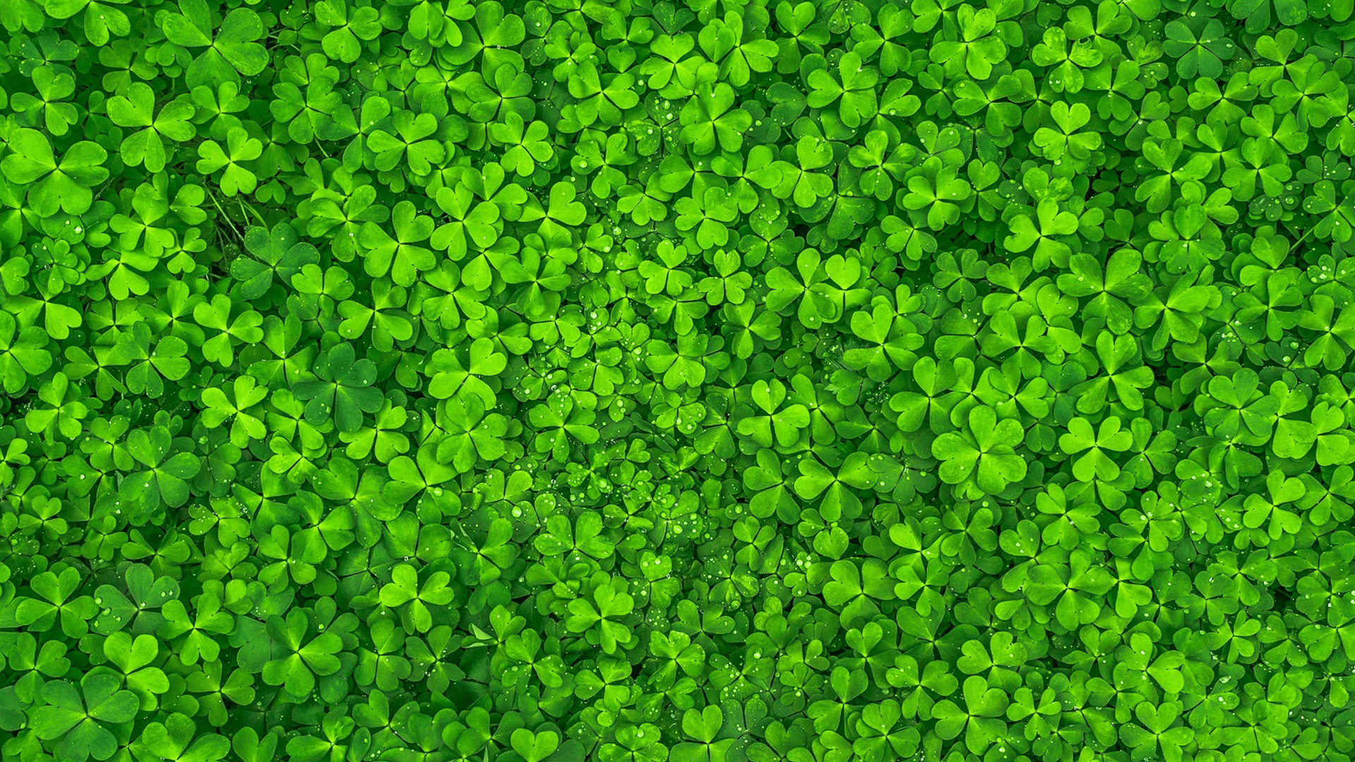 CU Weekly 341: Stations and Saints